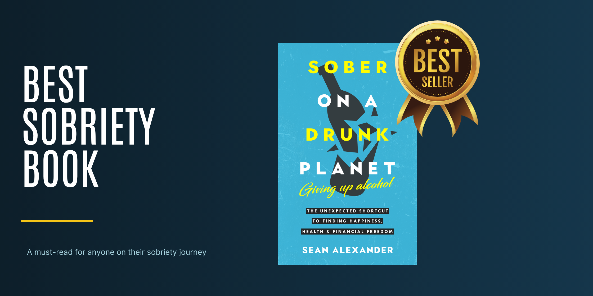 sobriety books sobriety books