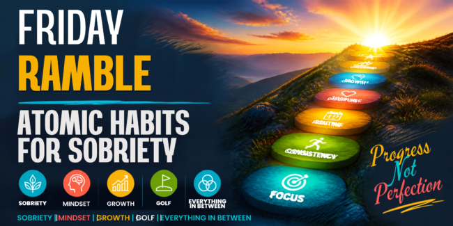 Best Sobriety Book Cover (13) habits